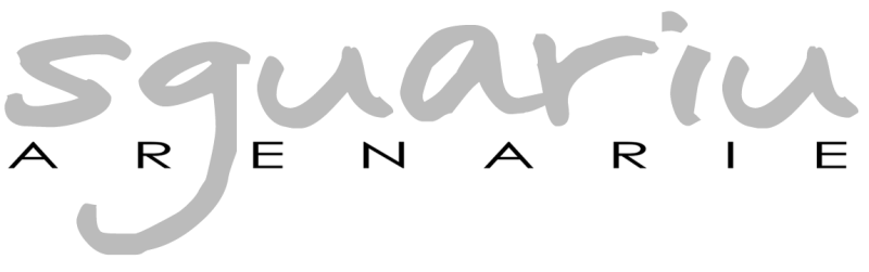 Logo Carparo.net Sguariu