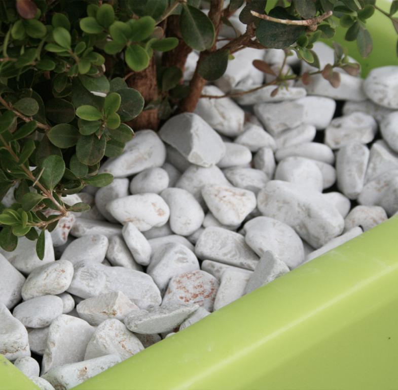 Ciottoli decorativi di marmo per giardino