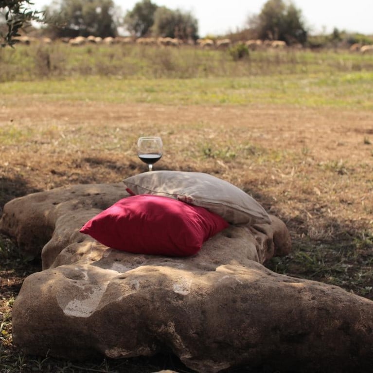 Pietre da giardino - immagine 6