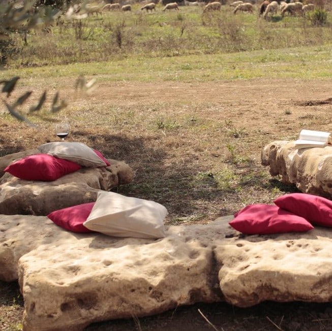 Pietre da giardino - immagine 2